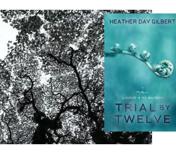 Trial by Twelve, #Appalachian #Christian #Mystery Available for Pre-Order here: http://amzn.to/1ynw3hP