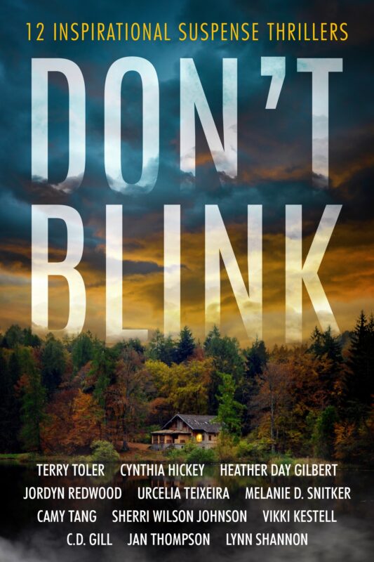 Don’t Blink: 12 Inspirational Suspense Thrillers