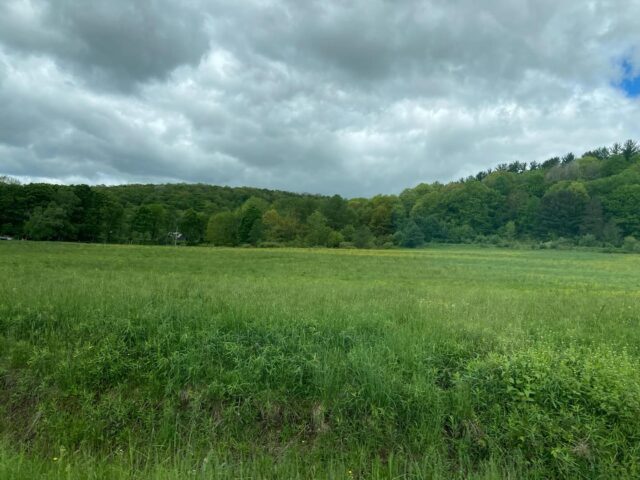 Got to visit my husband’s family in #westernny, and just a public announcement that rural New York State is beautiful. It’s not all NYC 🥰🌳
